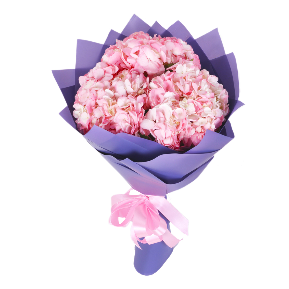 Букет из 3 розовых гортензий в пленке