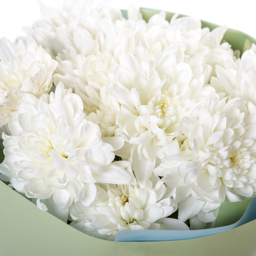 Букет из 3 белых хризантем