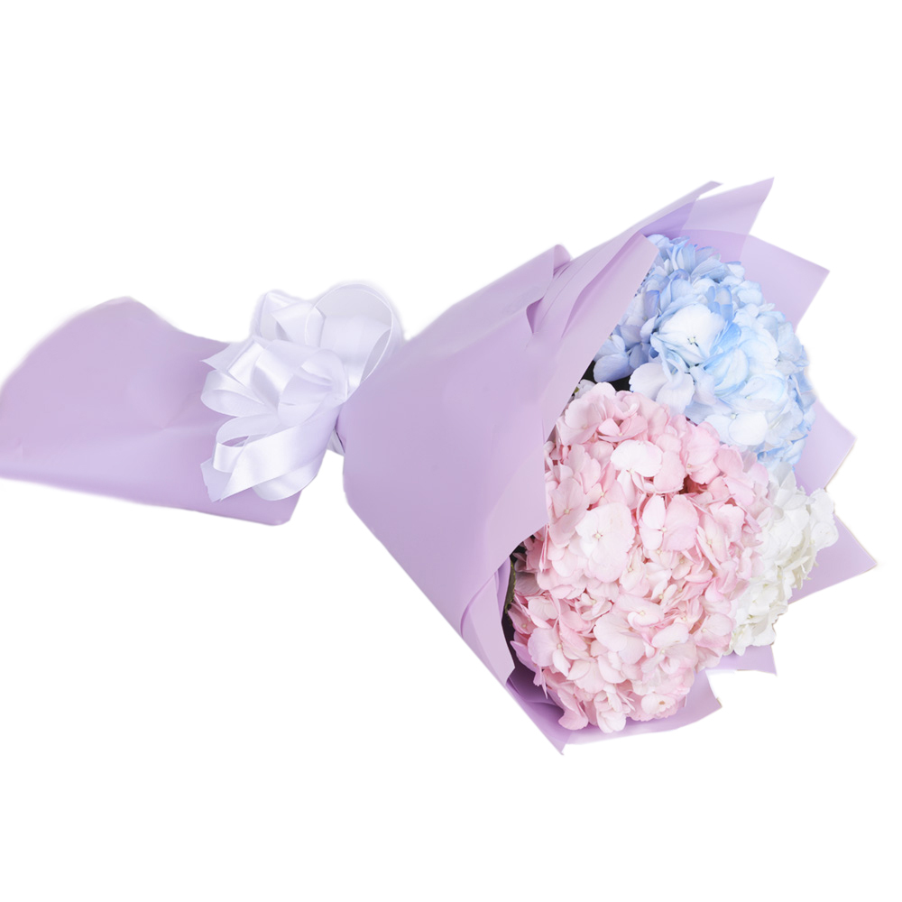 Букет из 3 разноцветных гортензий