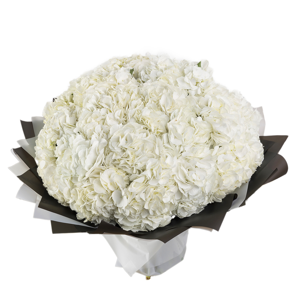 Букет из 25 гортензий