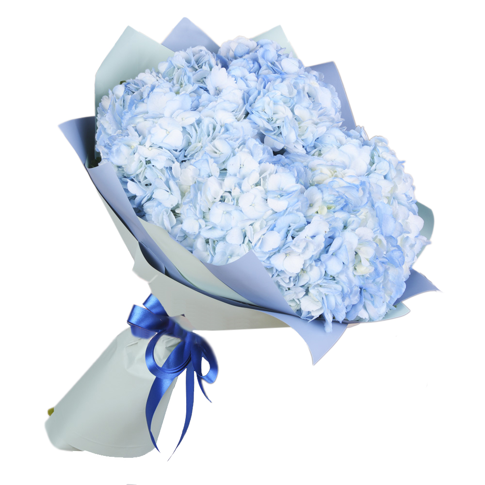 Букет из 5 голубых гортензий в пленке