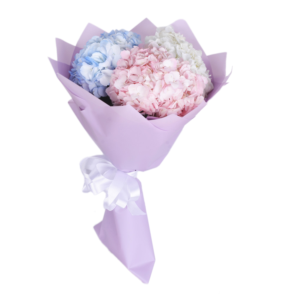 Букет из 3 разноцветных гортензий