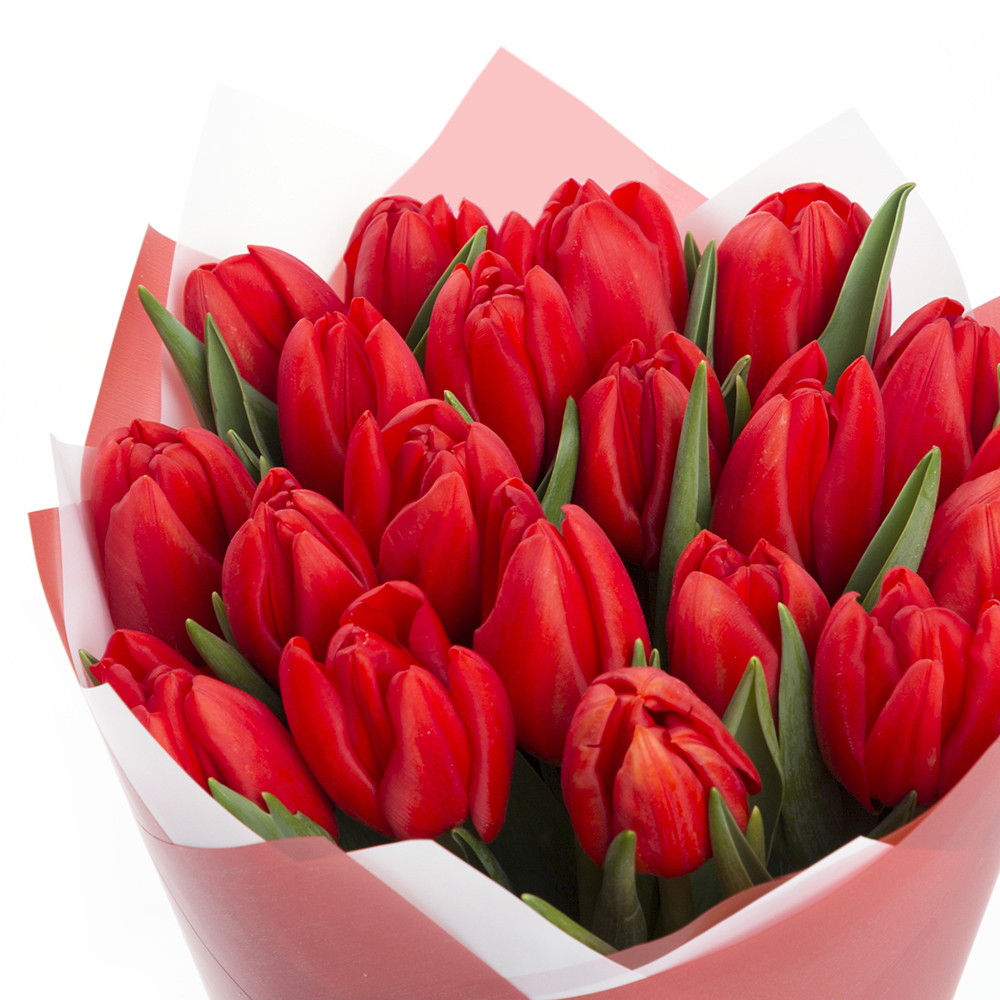 19 красных тюльпанов