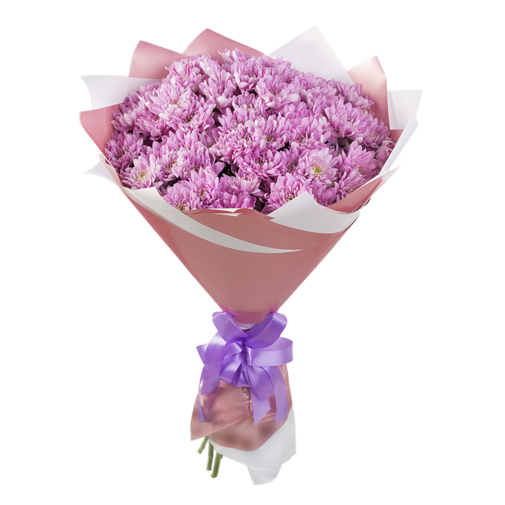 Букет из 15 сиреневых хризантем