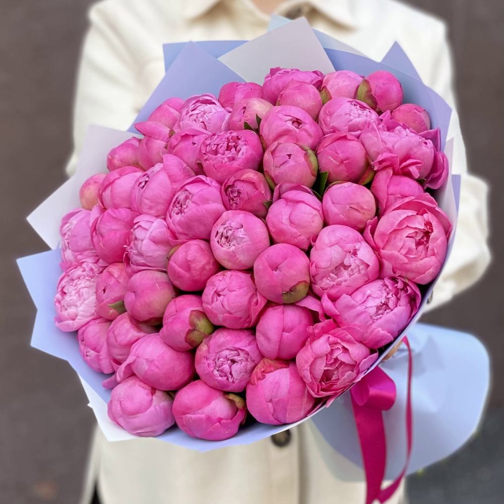 Букет из 51 розового пиона