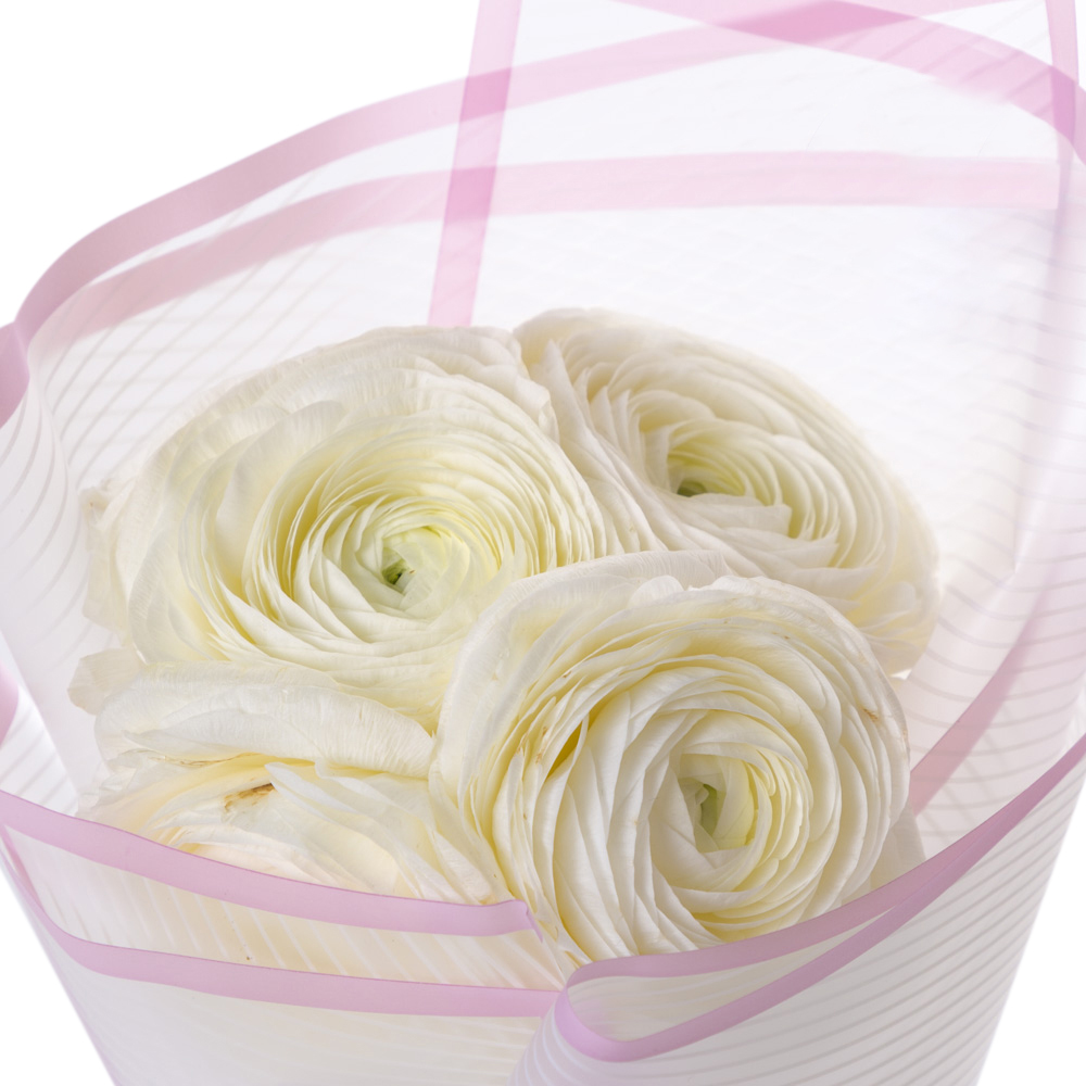 Букет из 5 белых ранункулюсов